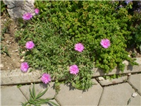 f87fd3a0-Picture 4440.jpg